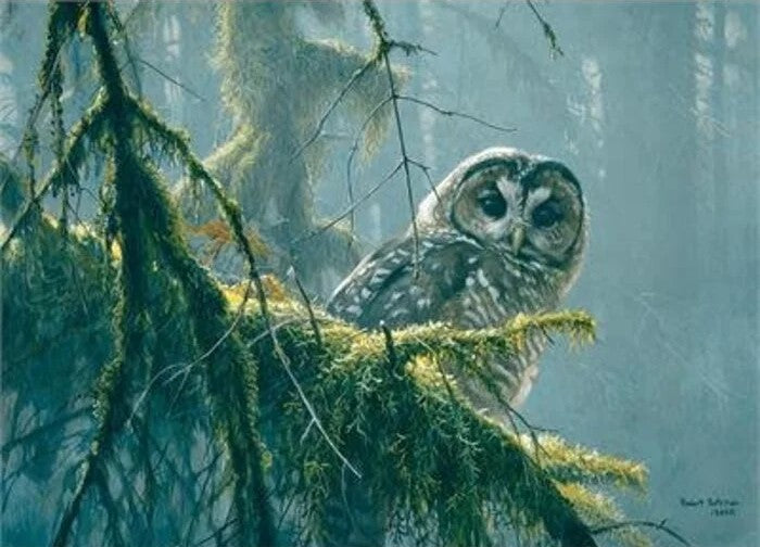 Cobble Hill Mossy Branches Spotted Owl - 500 Piece Puzzle