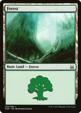 Forest (065) - Magic: The Gathering