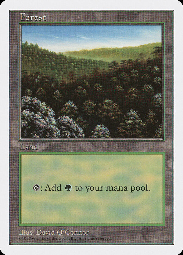 Forest (446) - Magic: The Gathering