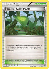 Forest of Giant Plants - Pokémon