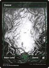 Forest (277) - Magic: The Gathering