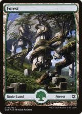 Forest (279) - Full Art - Magic: The Gathering