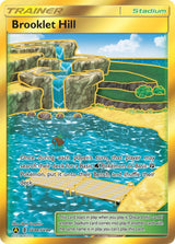 Brooklet Hill - Pokémon