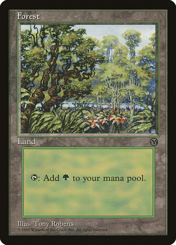 Forest (1996) - Magic: The Gathering