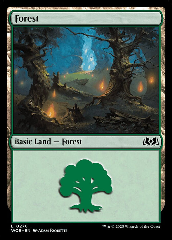 Forest (0276) - Magic: The Gathering