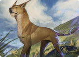 Blink Dog Art Card - Magic: The Gathering