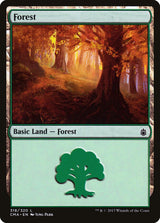 Forest (318) - Magic: The Gathering