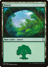 Forest (310) - Magic: The Gathering