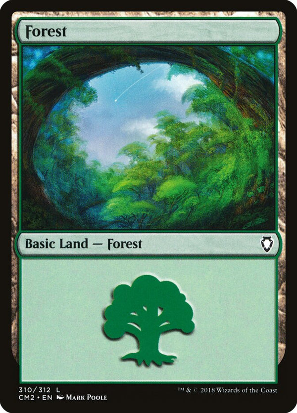 Forest (310) - Magic: The Gathering