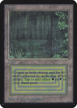 Bayou - Magic: The Gathering