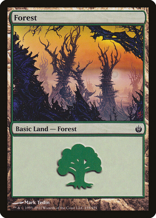 Forest (155) - Magic: The Gathering