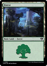 Forest (0798) - Magic: The Gathering