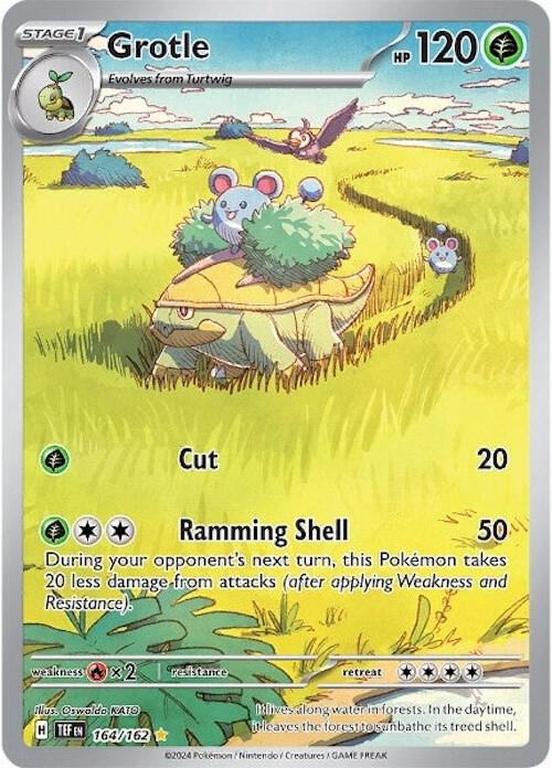 Grotle - 164/162 - Pokémon