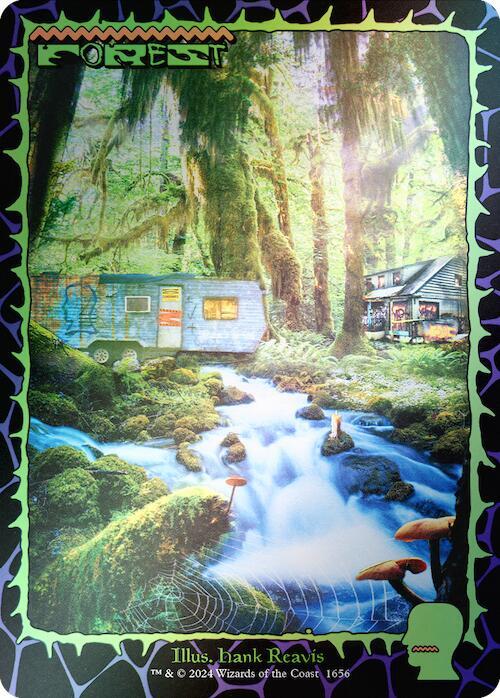Forest (1656) (Rainbow Foil) - Magic: The Gathering