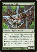 Aquastrand Spider - Magic: The Gathering
