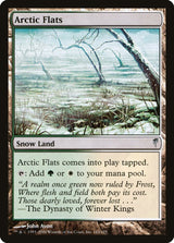 Arctic Flats - Magic: The Gathering