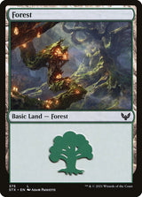 Forest (375) - Magic: The Gathering
