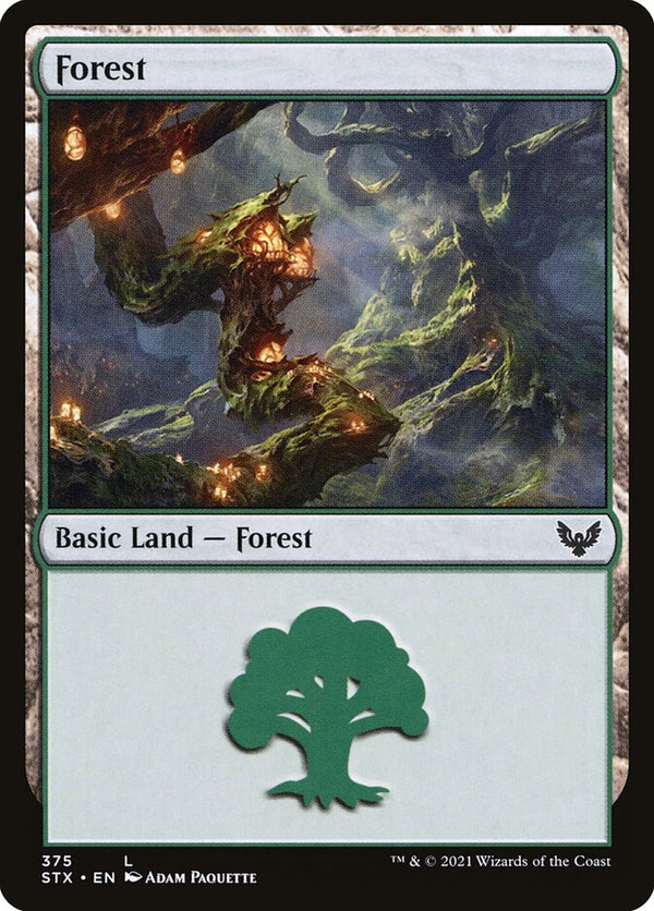 Forest (375) - Magic: The Gathering