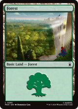 Forest (0295) - Magic: The Gathering
