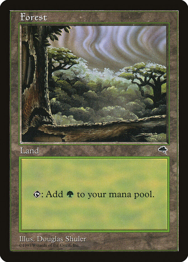 Forest (Cloudy) - Magic: The Gathering