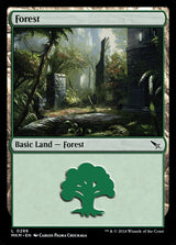 Forest (0286) - Magic: The Gathering