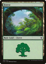 Forest (350) - Magic: The Gathering
