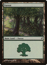 Forest (301) - Magic: The Gathering
