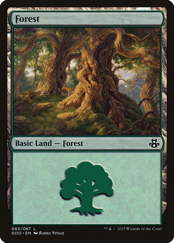 Forest (065) - Magic: The Gathering