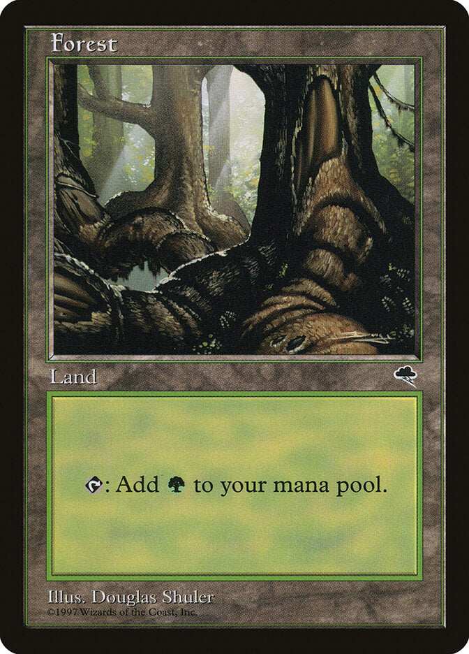 Forest (Pond)