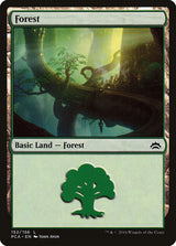 Forest (152) - Magic: The Gathering