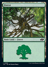 Forest (0095) - Magic: The Gathering