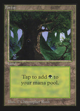 Forest (C) (IE) - Magic: The Gathering