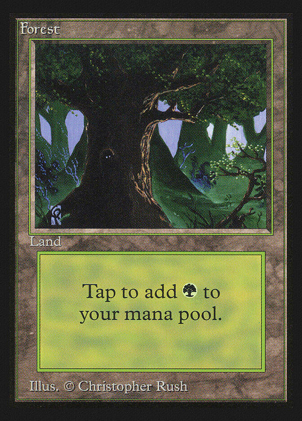Forest (C) (IE) - Magic: The Gathering