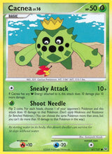 Cacnea - Pokémon