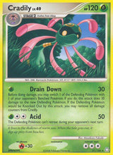 Cradily - Pokémon