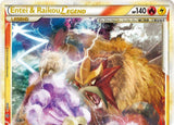 Entei & Raikou Legend (top) - Pokémon