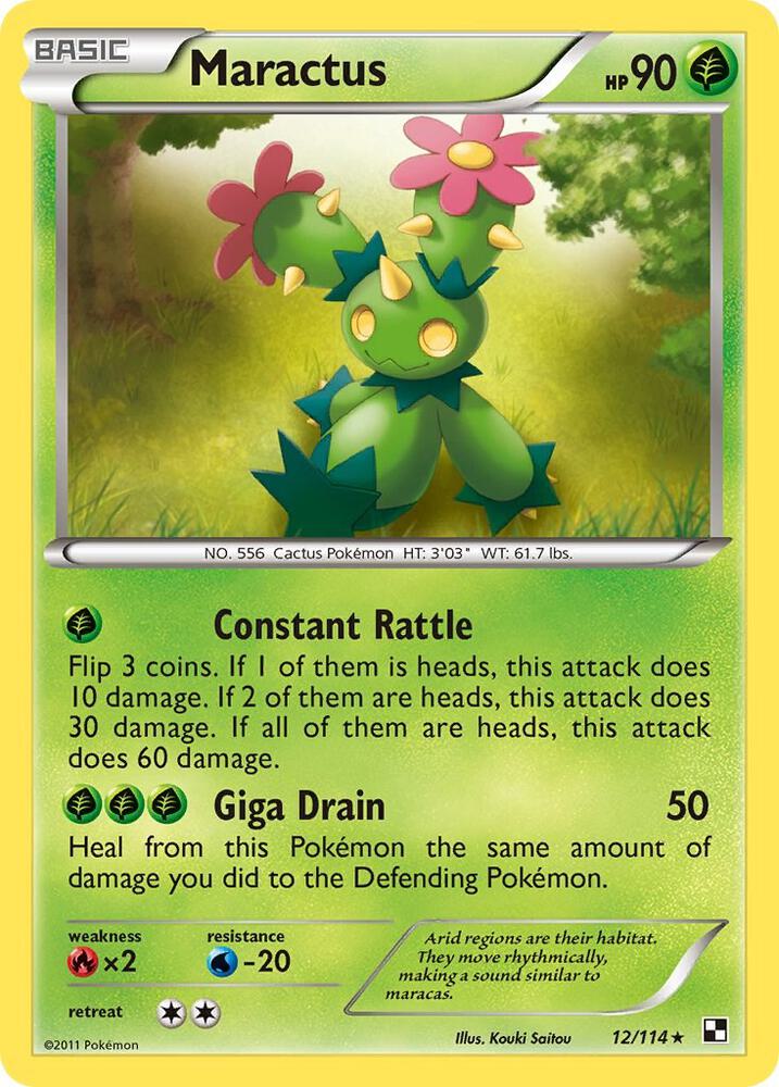 Maractus (12)