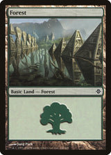 Forest (246) - Magic: The Gathering