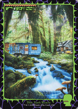 Forest (1656) - Magic: The Gathering