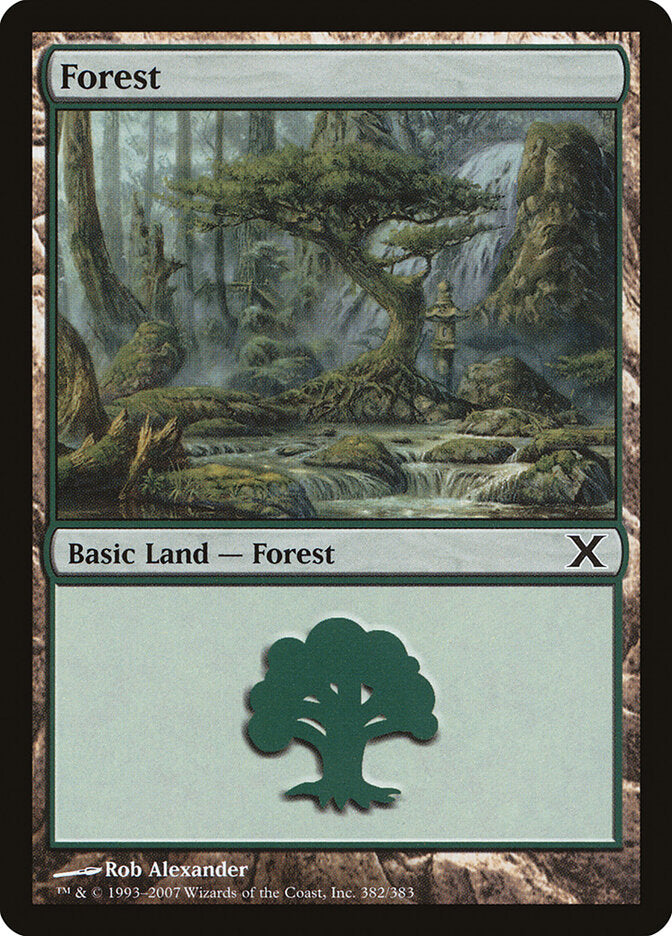 Forest (382)