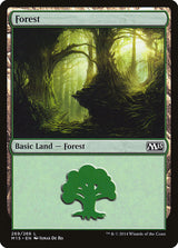 Forest (269) - Magic: The Gathering