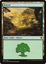 Forest (068) - Magic: The Gathering