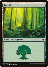 Forest (351) - Magic: The Gathering