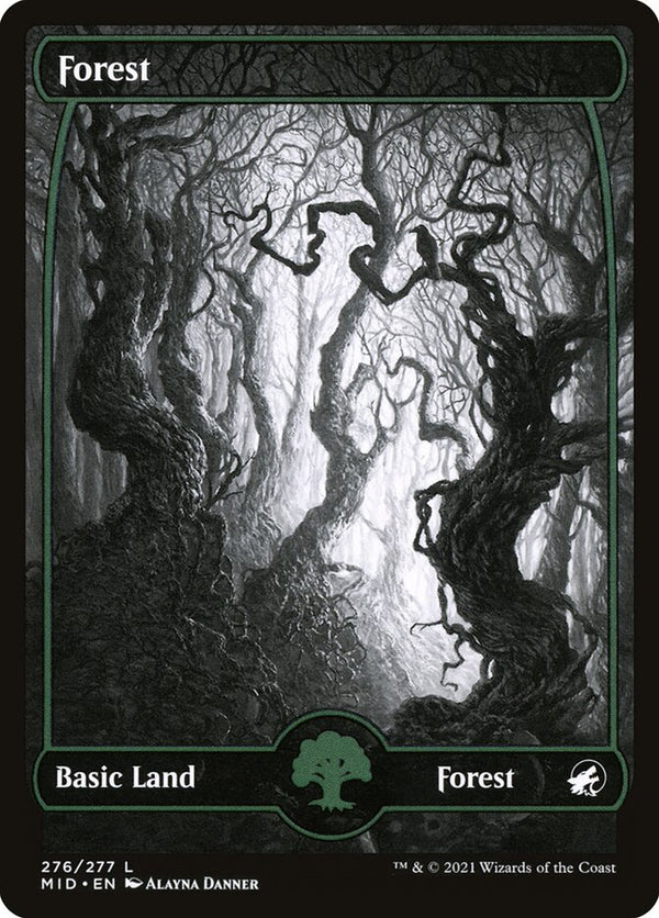 Forest (276) - Magic: The Gathering
