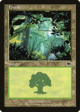 Forest (347) - Magic: The Gathering