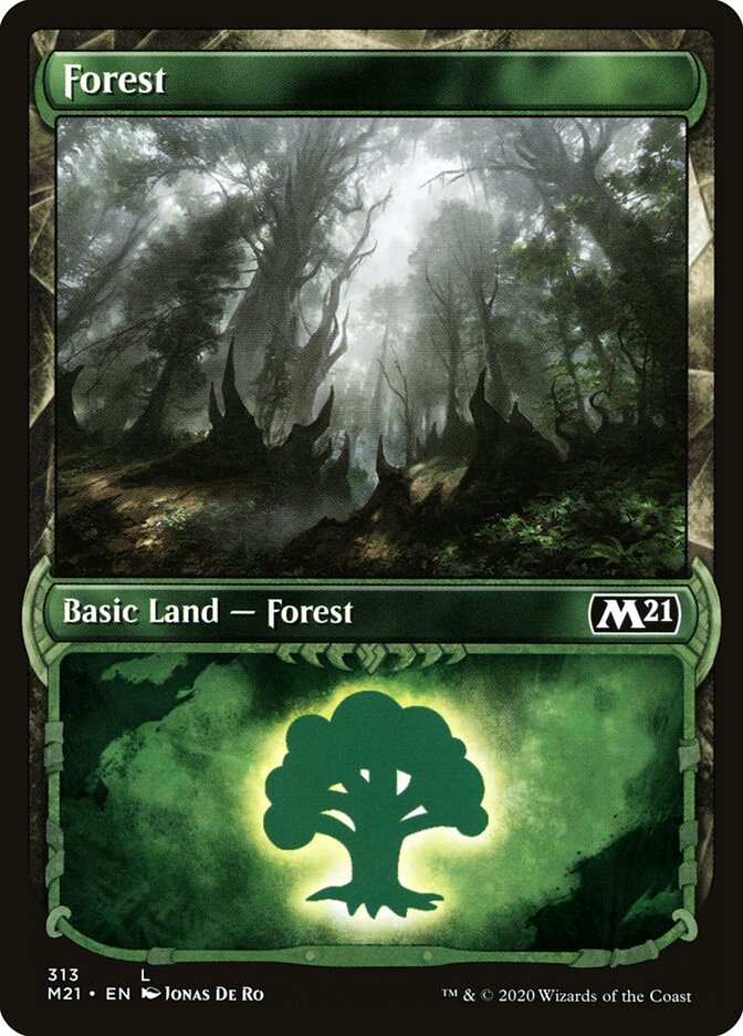 Forest (Showcase)