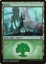 Forest - Simic (B09) - Magic: The Gathering
