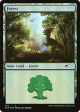 Forest (575) - Magic: The Gathering