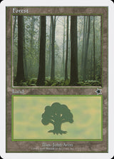 Forest (173) - Magic: The Gathering