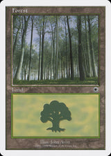 Forest (104) - Magic: The Gathering